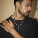 סט כנף פרימיום – כסף