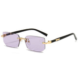 PARIS SUNGLASSES
