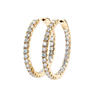 Hoop Earrings - Gold